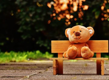 bear-bench-child-207891